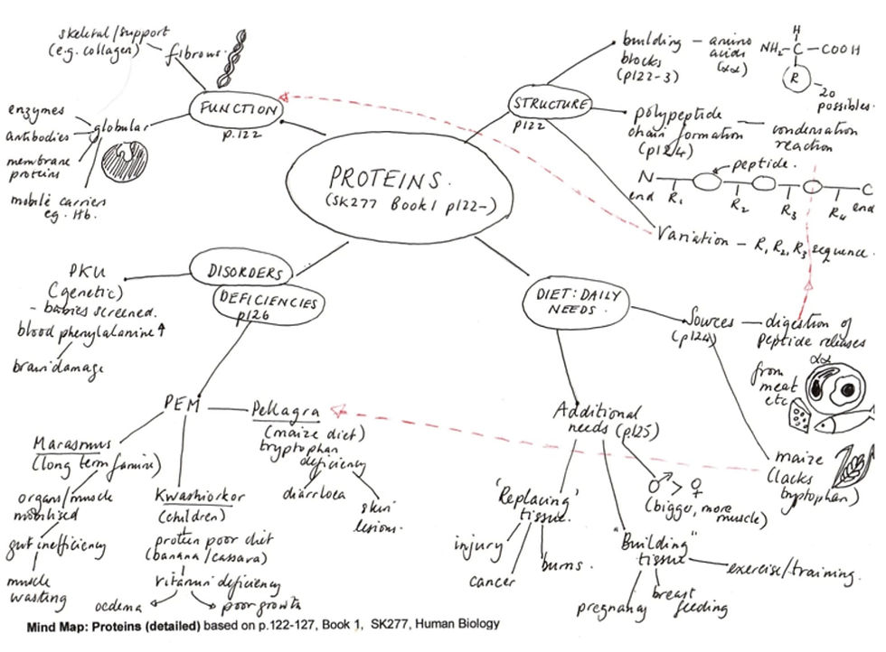 A hand written mind map to study proteins
