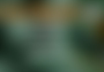 Halloween Haunts: Everything I Know about Sadism I Learned from Alfred Hitchcock