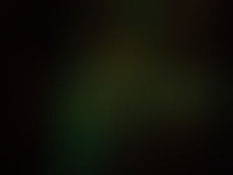 Independent: The Apolitical Appeal of 24