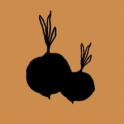 Comp 1_2_1.gif