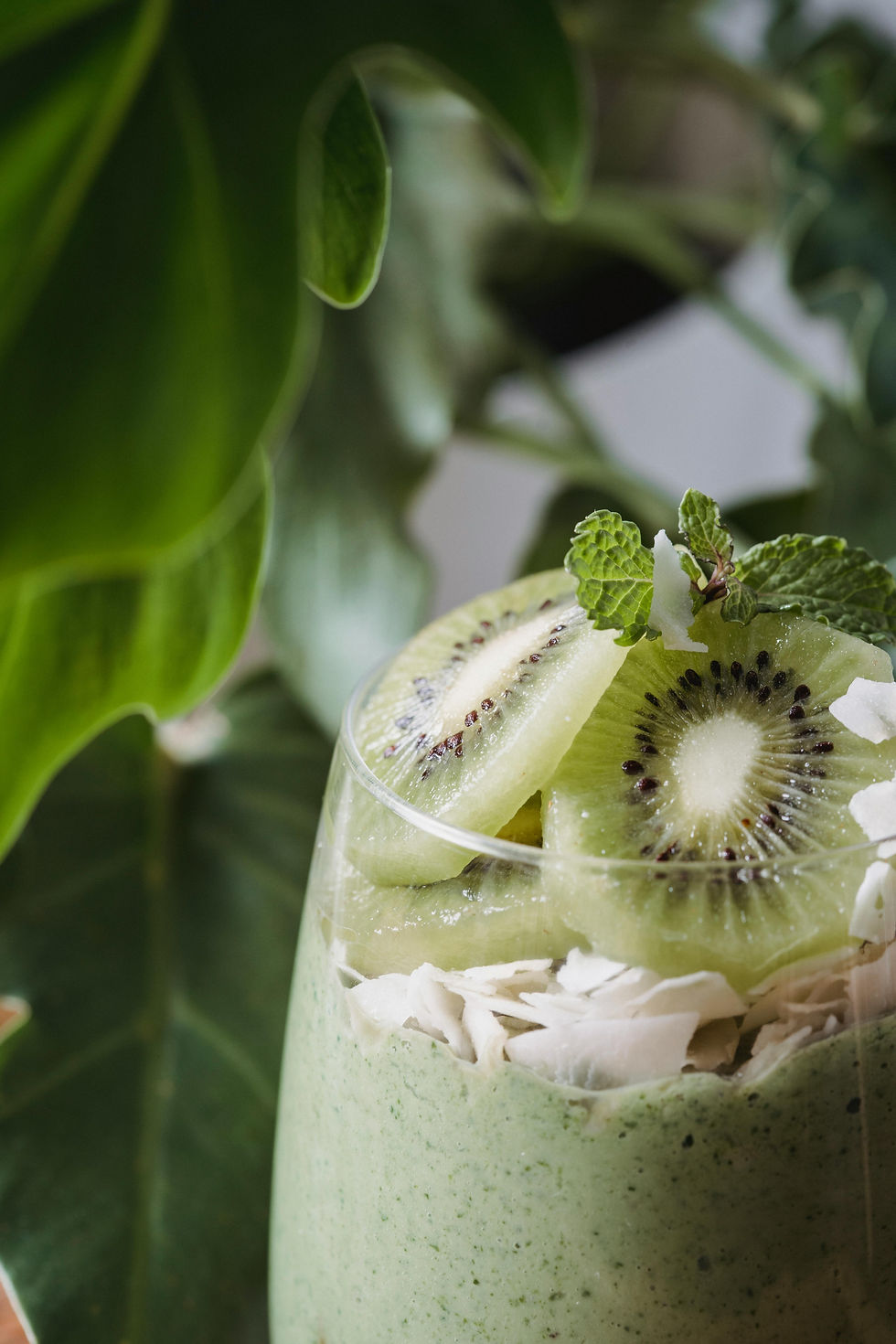 kiwi health smoothie