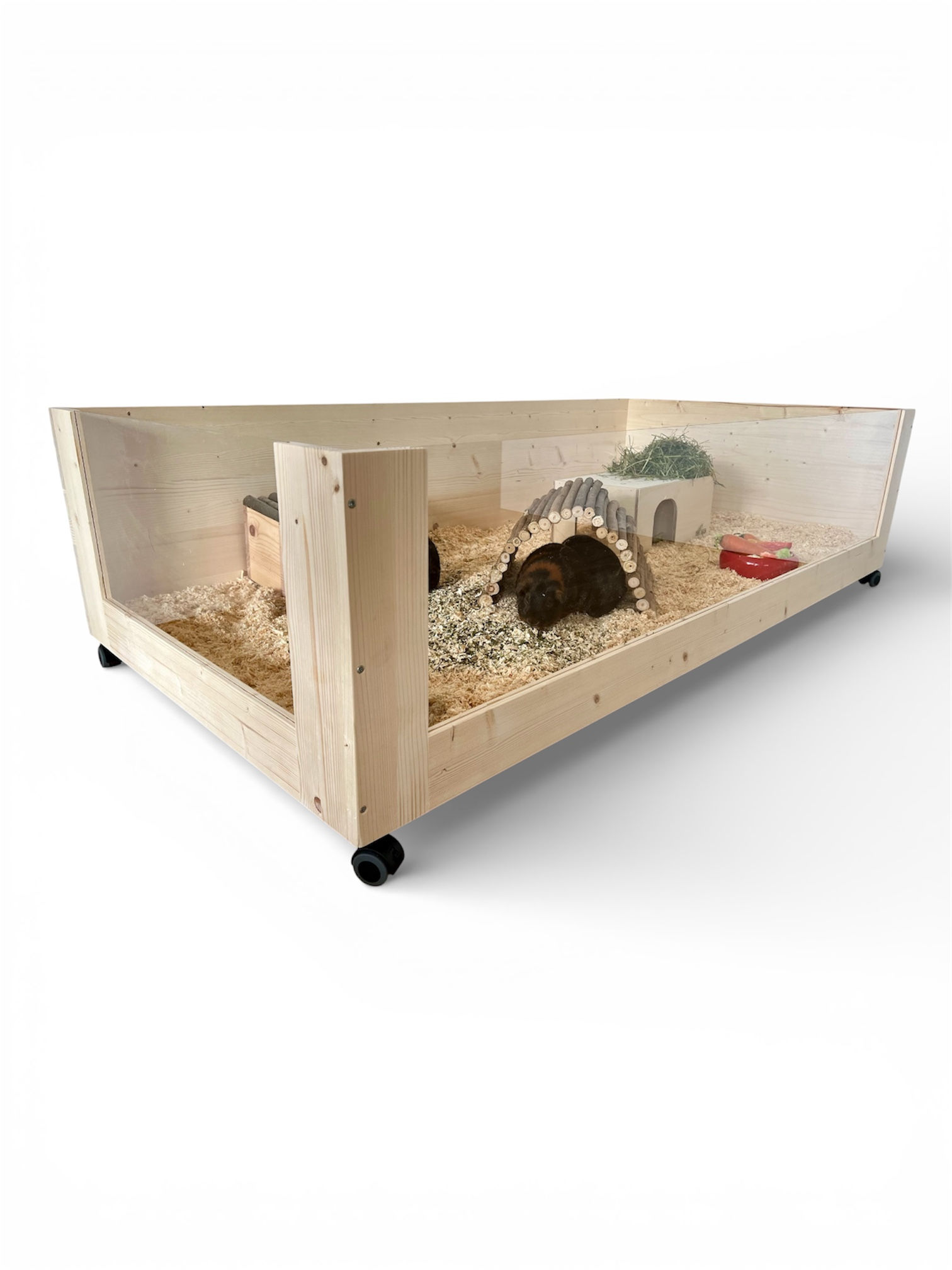 Kleintiergehege "Ivy"