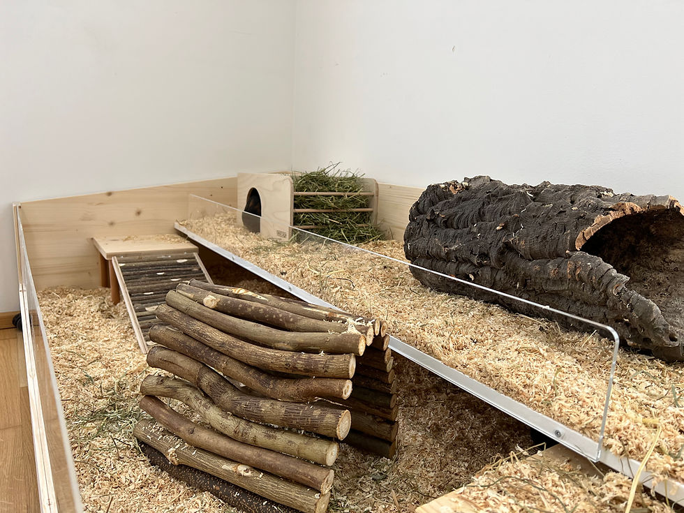 Miniaturbild: Meerschweinchengehege Holz "Lea"