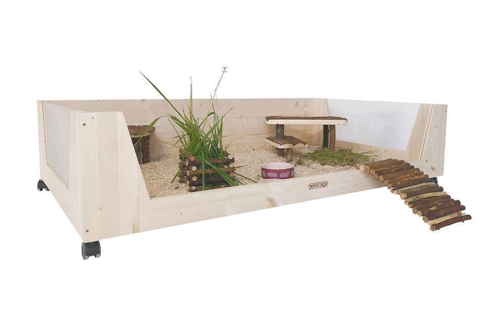 Miniaturbild: Meerschweinchengehege "Mia"