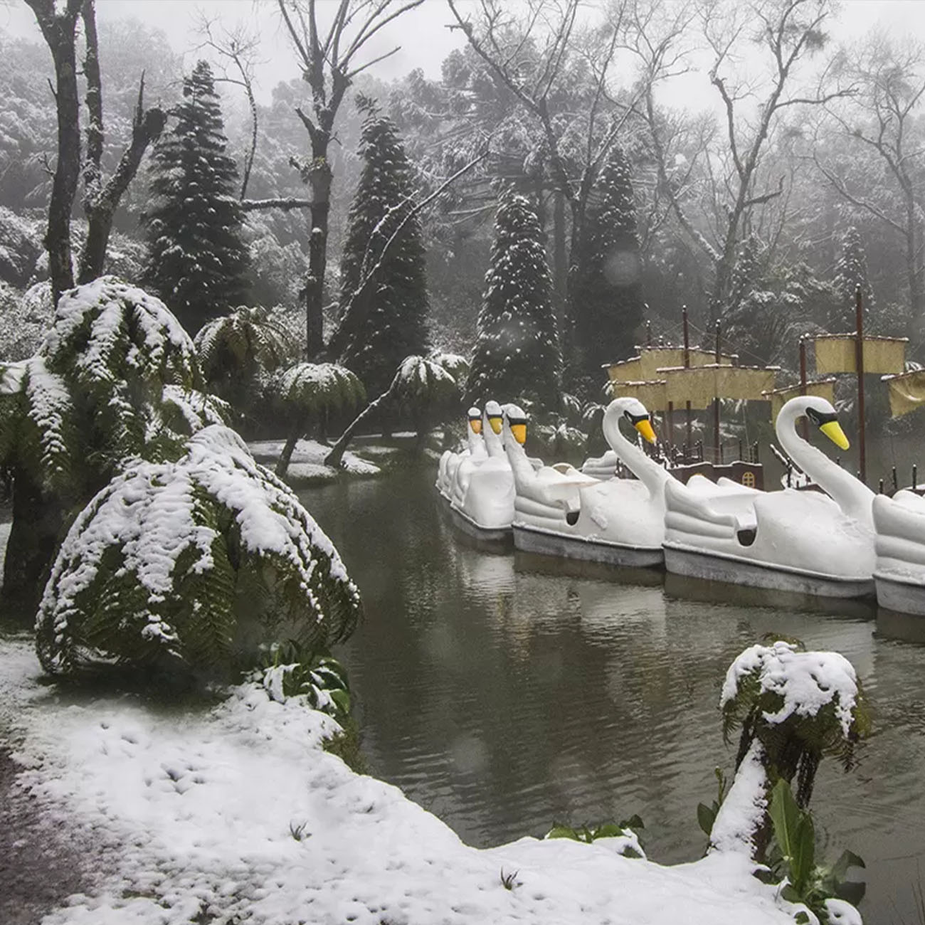 GRAMADO02.jpg
