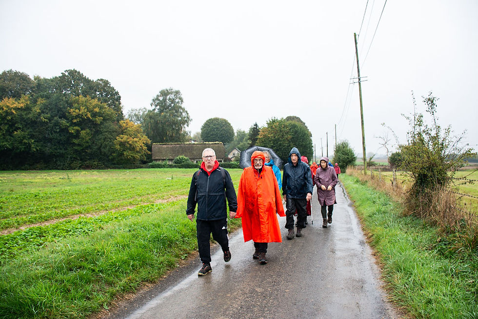 Le chemin du goupil
