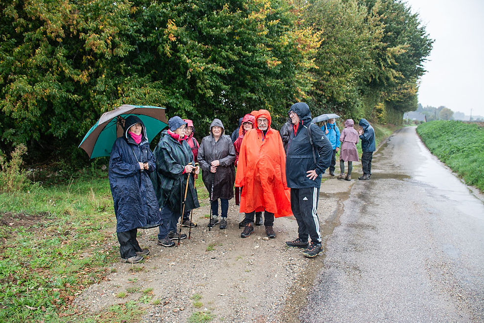 Le chemin du goupil