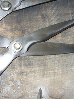 SDC12140.JPG
