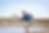 92531F80-0703-4930-B9C1-16B75C50F108.png
