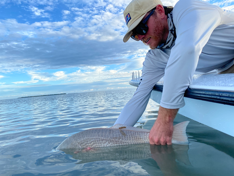 Redfish on fly 