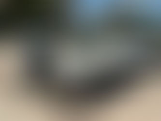 What to Expect on a Guided Redfish Fly Charter In Jacksonville Florida?