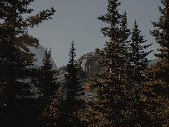 From One Property to a Portfolio: Scaling Your Colorado Short Term Rental Business