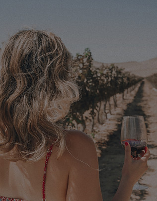 Paso Robles Winery