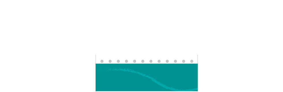 pag web plantilla-5