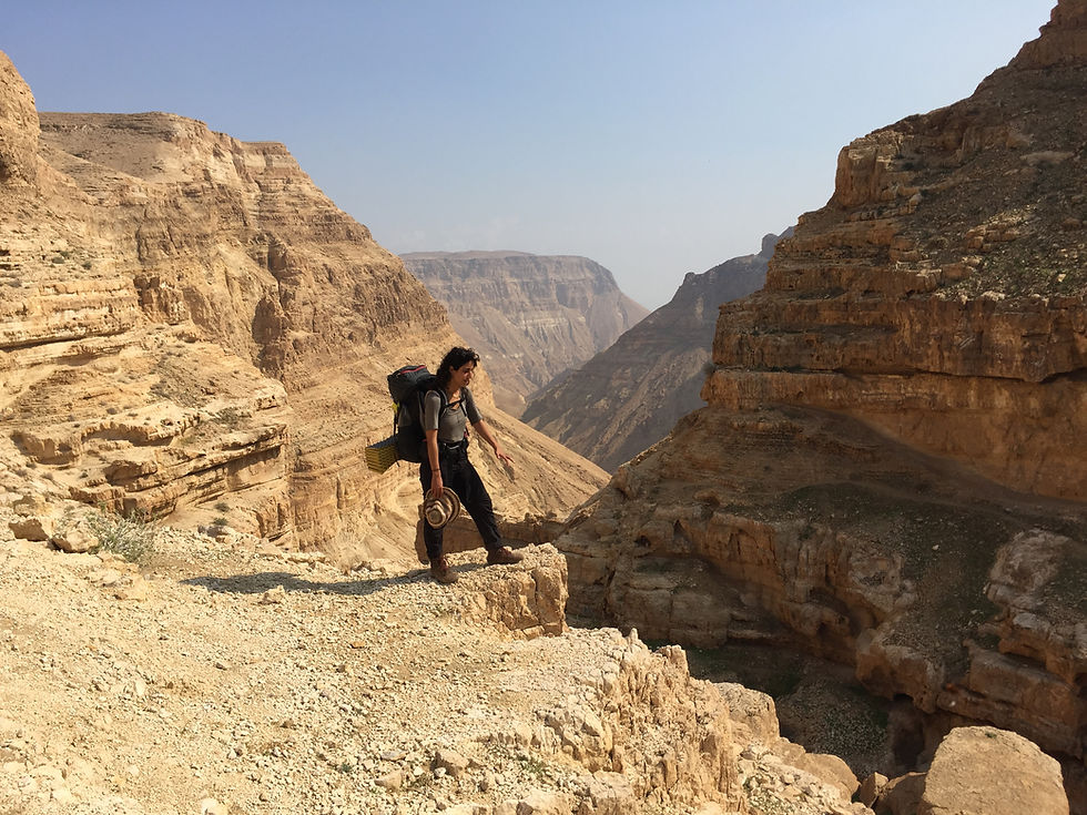 Masada Ein Gedi trek