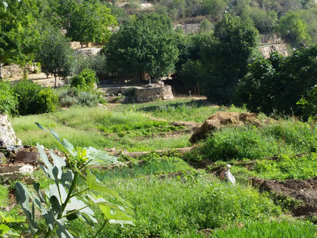 10 Simple guidelines for trekking in nature reserves