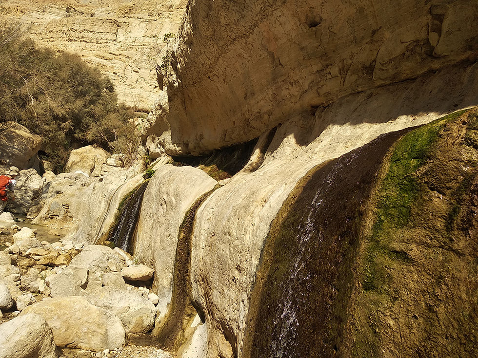 Ein Gedi trek