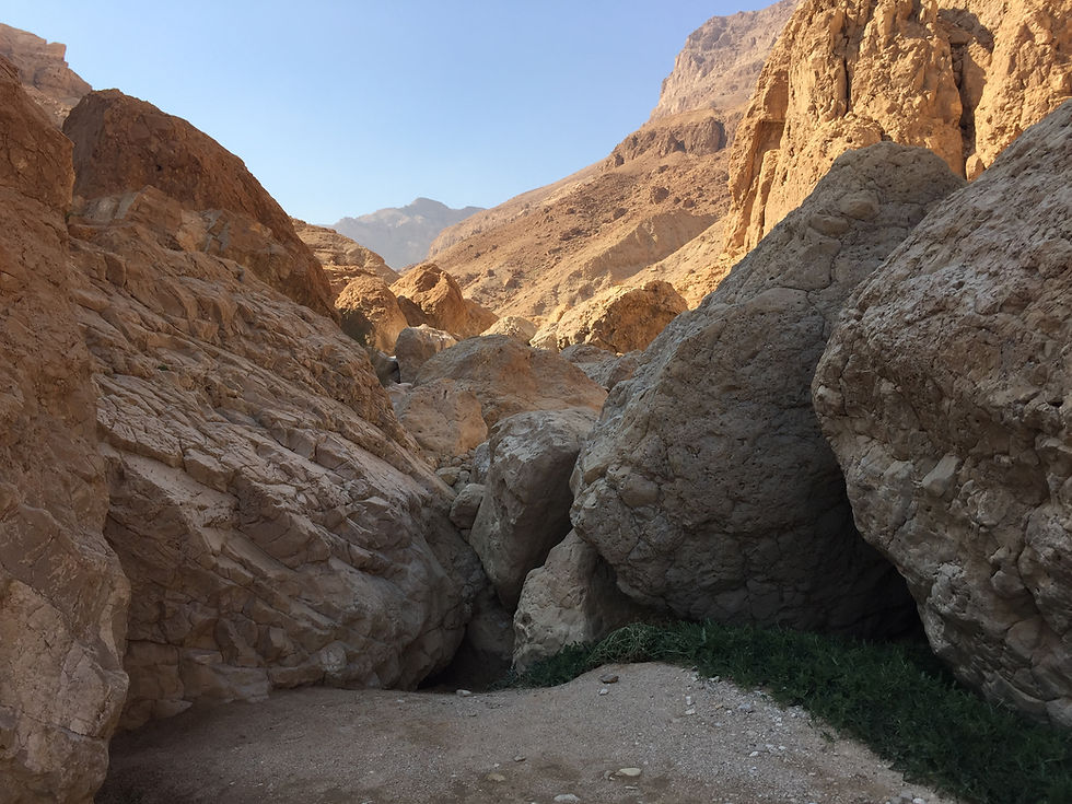 Masada Ein Gedi trek