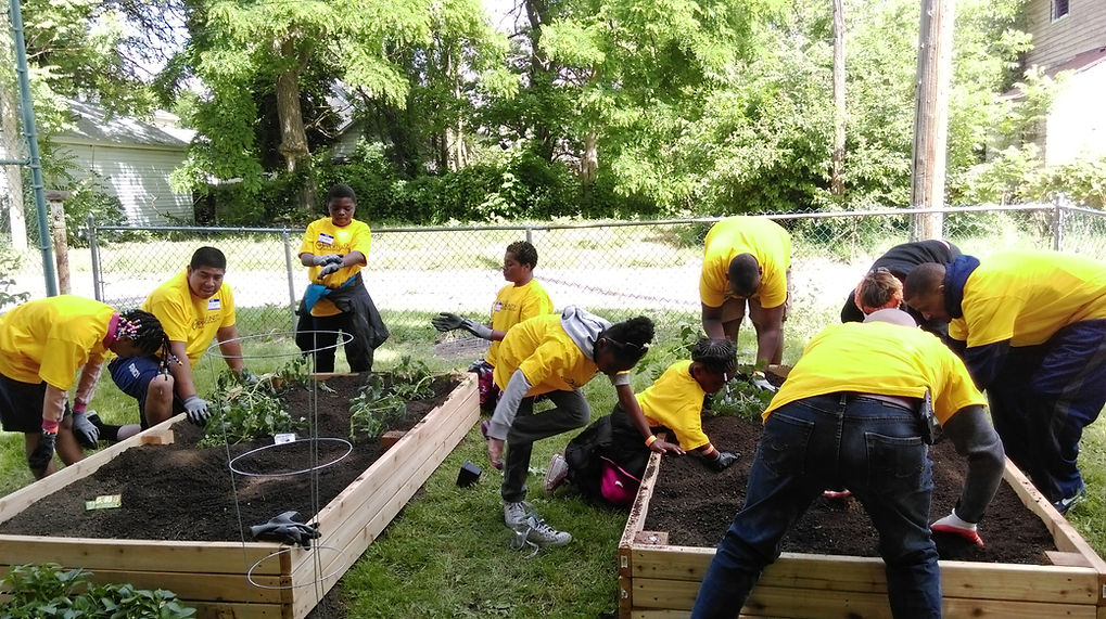 Planting Tomatoes - Barrows.jpg