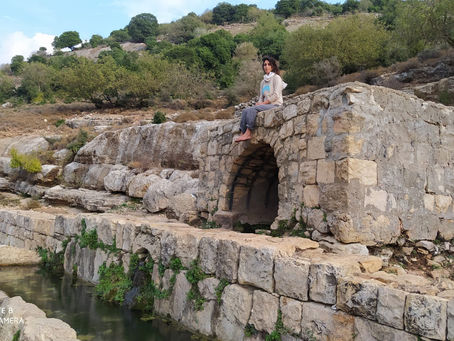 The Eastern Trans-Galilee Mountains Trek