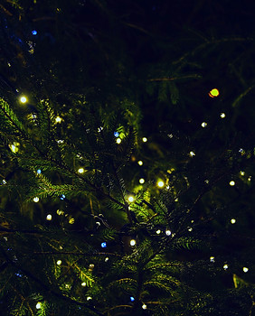 Festive Tree Lights_edited_edited.jpg