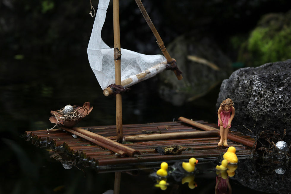 Small lady and ducks