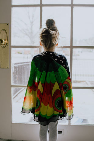 kelly-sikkema-EcvLKMVvd4s-unsplash.jpeg