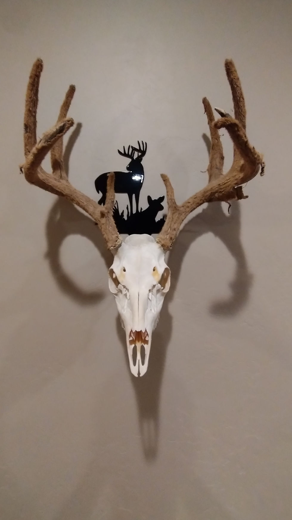 Thumbnail: Deer Skull Hanger buck and doe 1