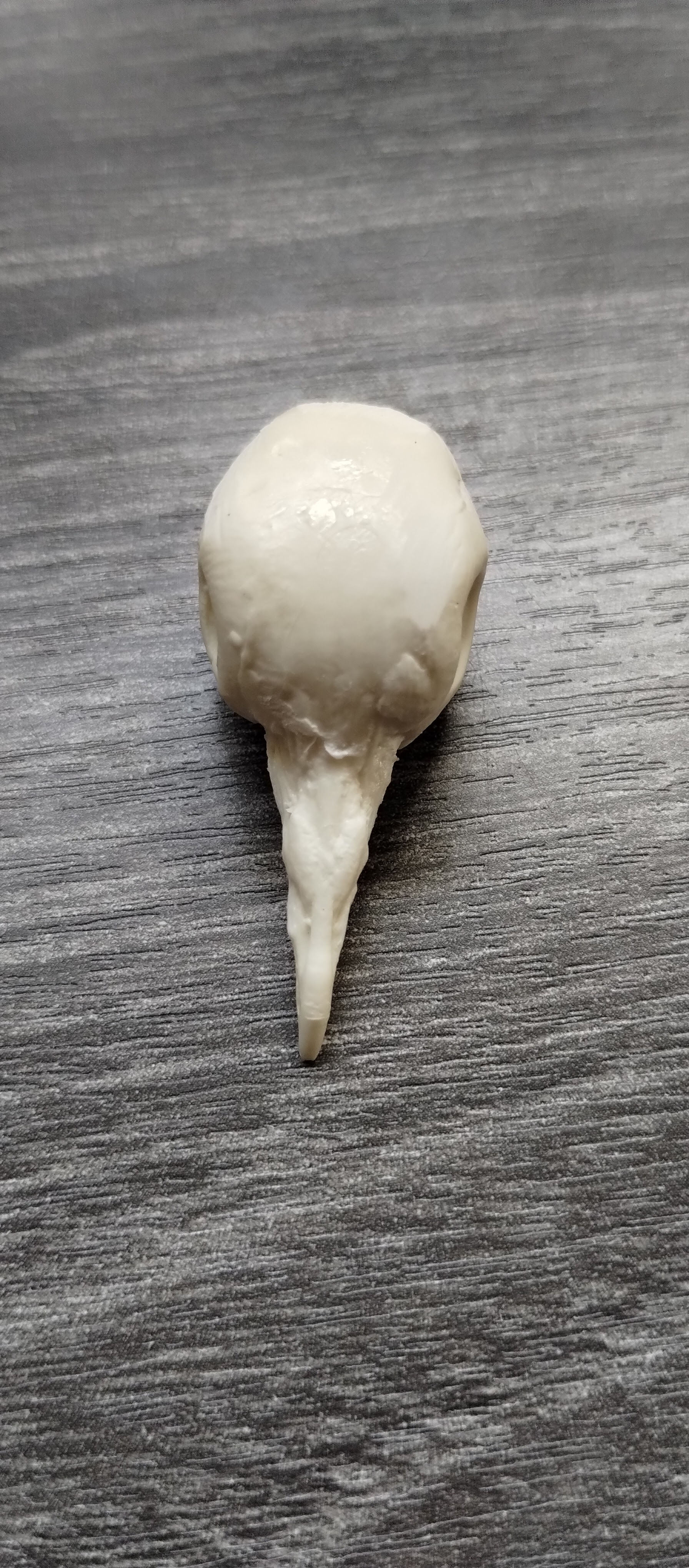 Artificial Dove head