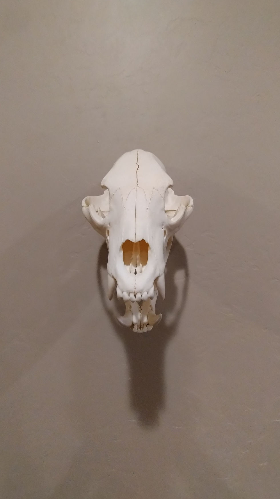 Thumbnail: Skull Hanger 3