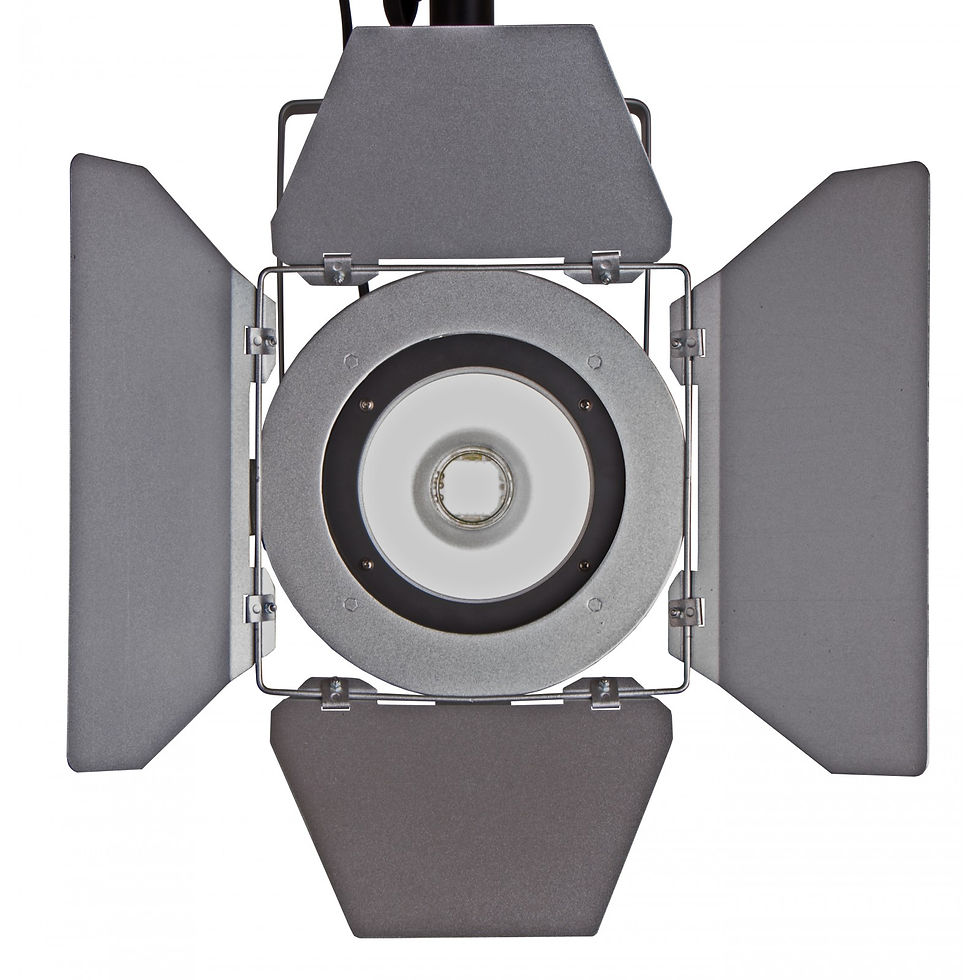 Miniature : COB BARNDOOR/Silver