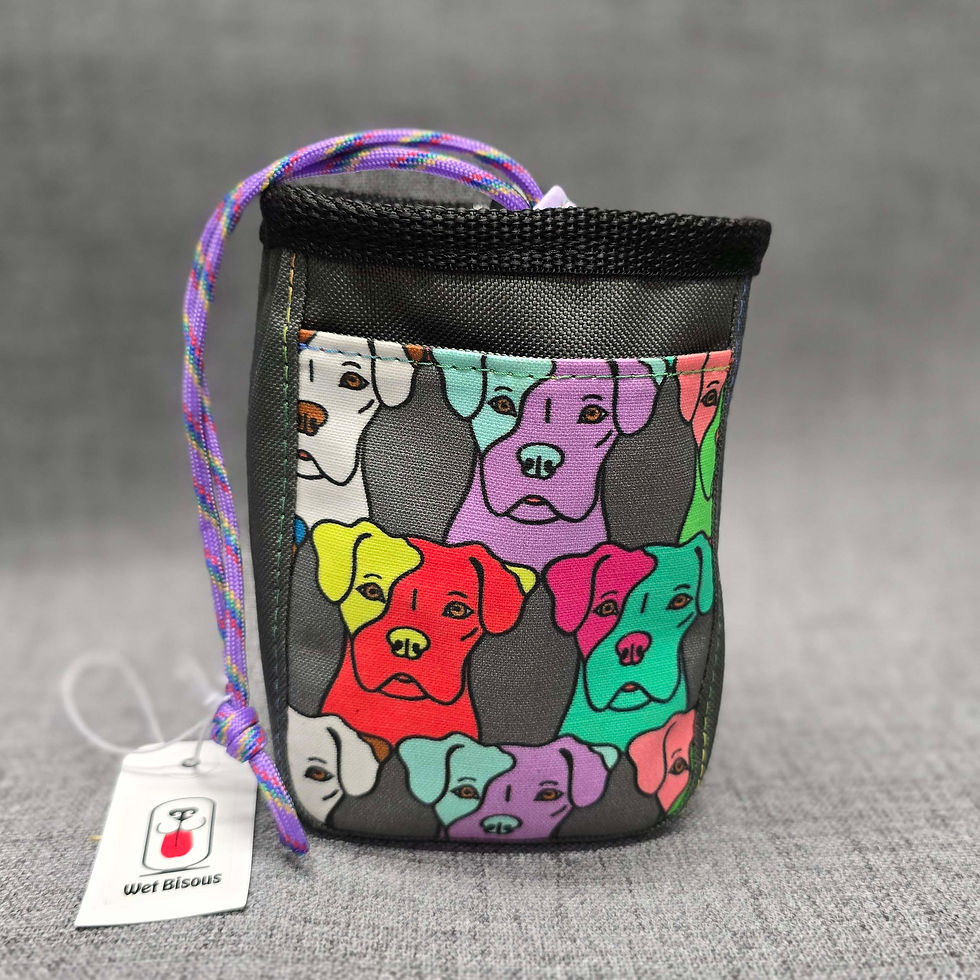 Thumbnail: Treat Pouches!