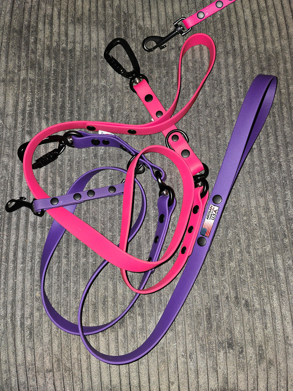 Thumbnail: 1.0 Ult. Biothane Leash