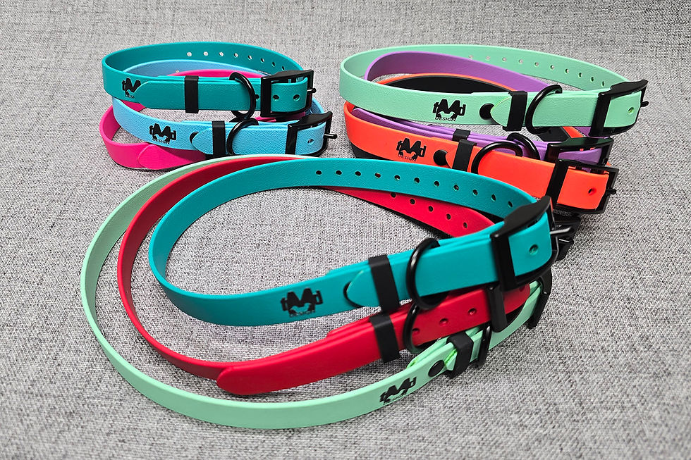 TMD Biothane collar in 3/4" width