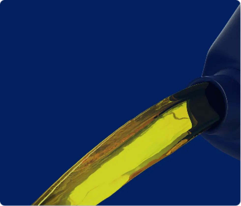 img Container (1).webp