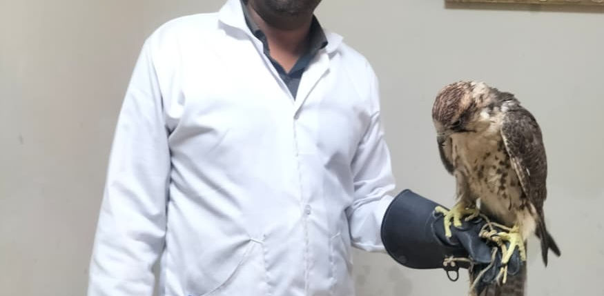 Meet the Vet Who Speaks the Language of Feathers, Fur, and ScalesDr. M. Areshkumar is now taking special appointments at Celestial Paws Veterinary Clinic, Besant Nagar.