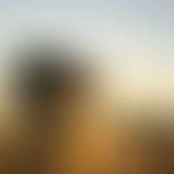 The Best Society to Live in Calicut? Here’s the One Everyone’s Moving To