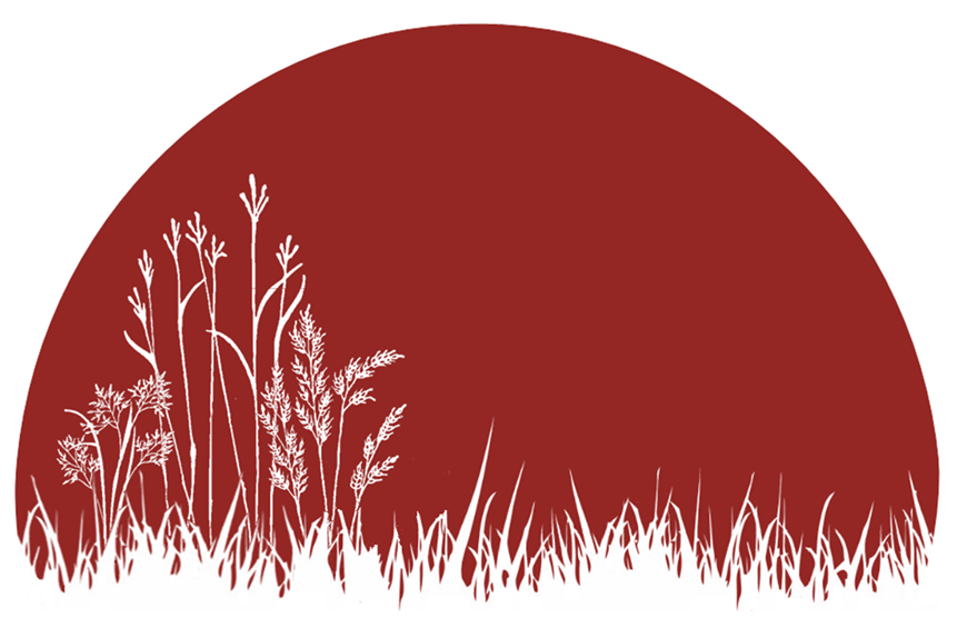 Prairie Restoration Sauk Prairie Conservation Alliance