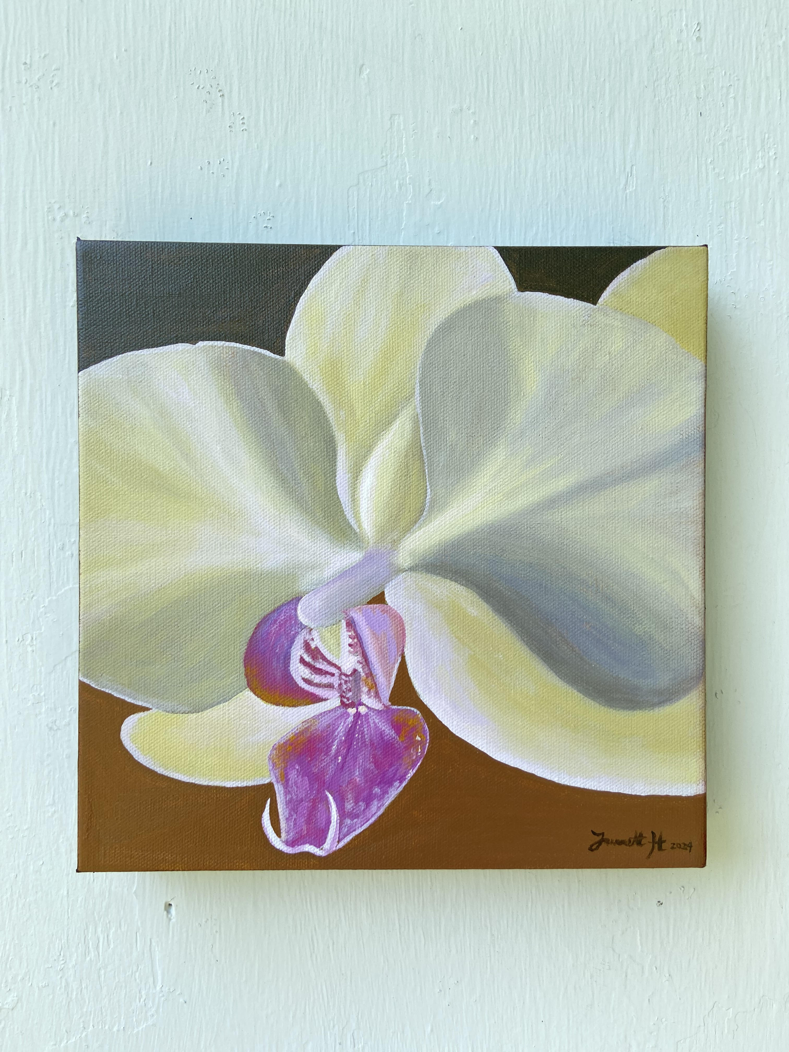 "Orchid" by Jarrett Holbrook