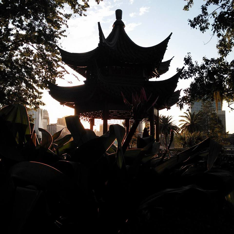 Lake Eola, by Amanda Lasen