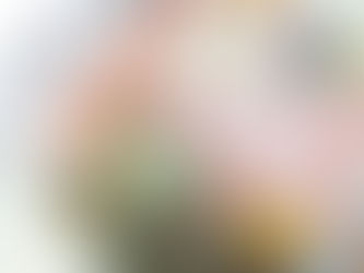 メディア掲載情報