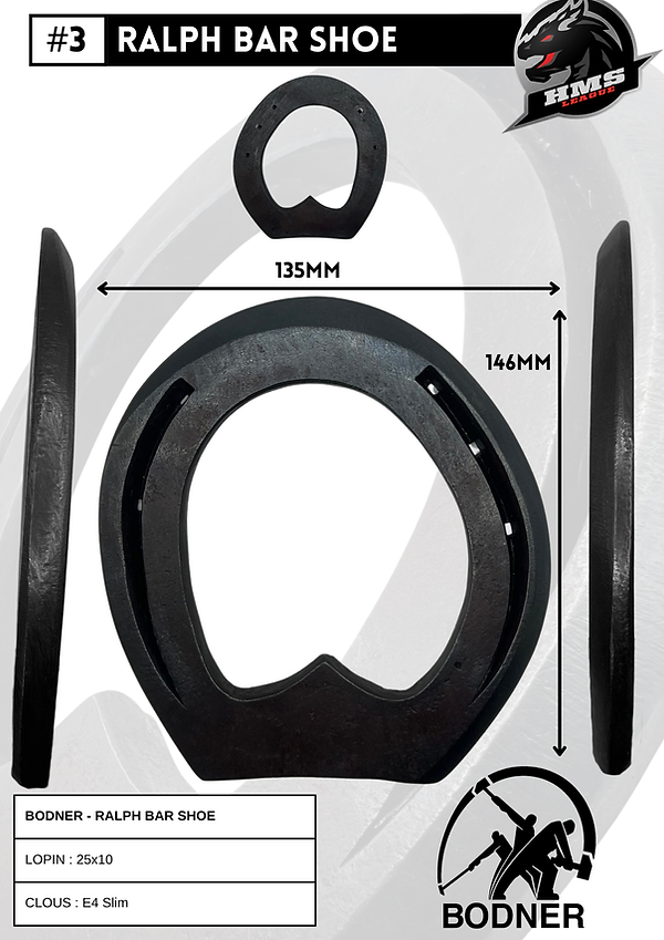 BODNER (3).png