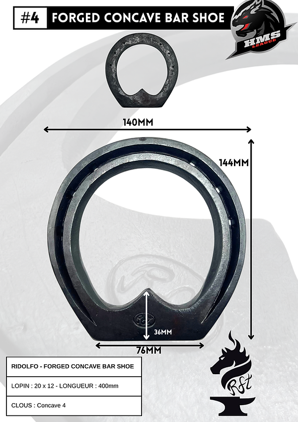 RIDOLFO (3).png