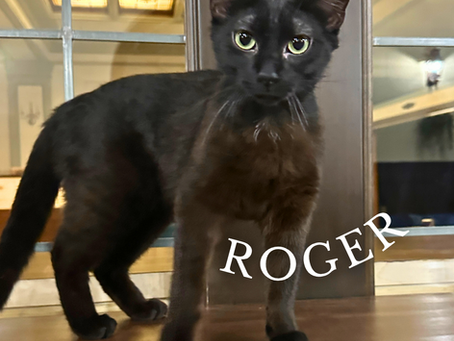 Cat of the Week 7/28/25: Roger!