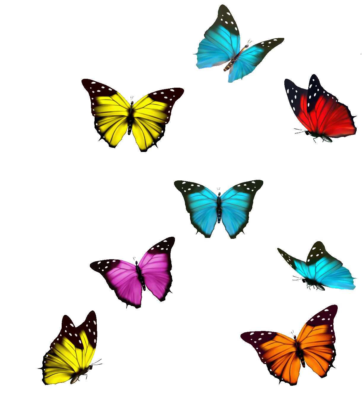 Butterflies-Flying.gif