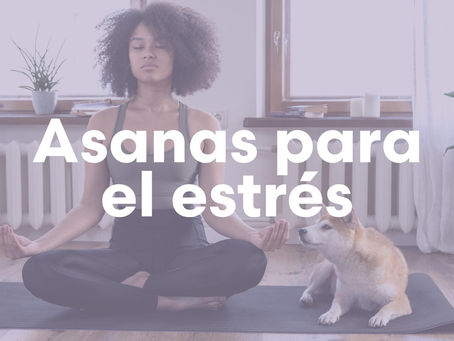 ASANAS PARA BAJAR EL ESTRÉS