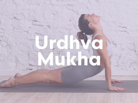 URDHVA MUKHA SVANASANA - PERRO BOCA ARRIBA