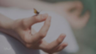CURSO MINDFULNESS