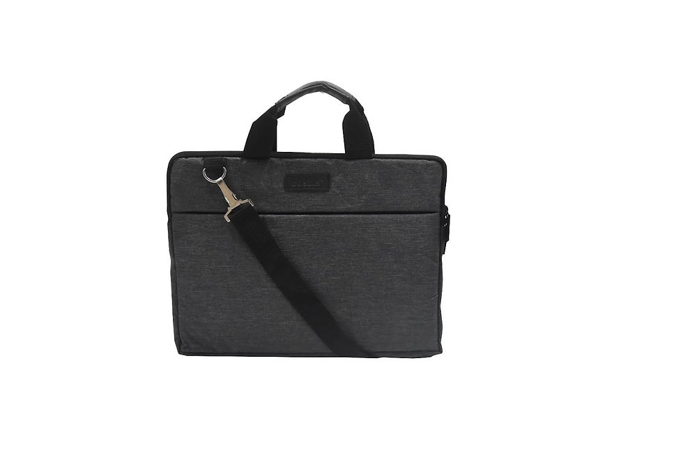 Mercury Laptop Bag