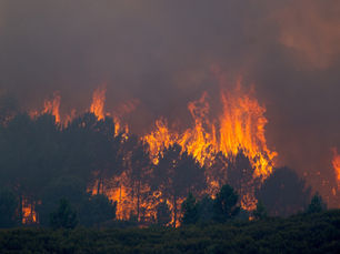 La Tierra registra más de 150 millones de hectáreas incendiadas hasta abril